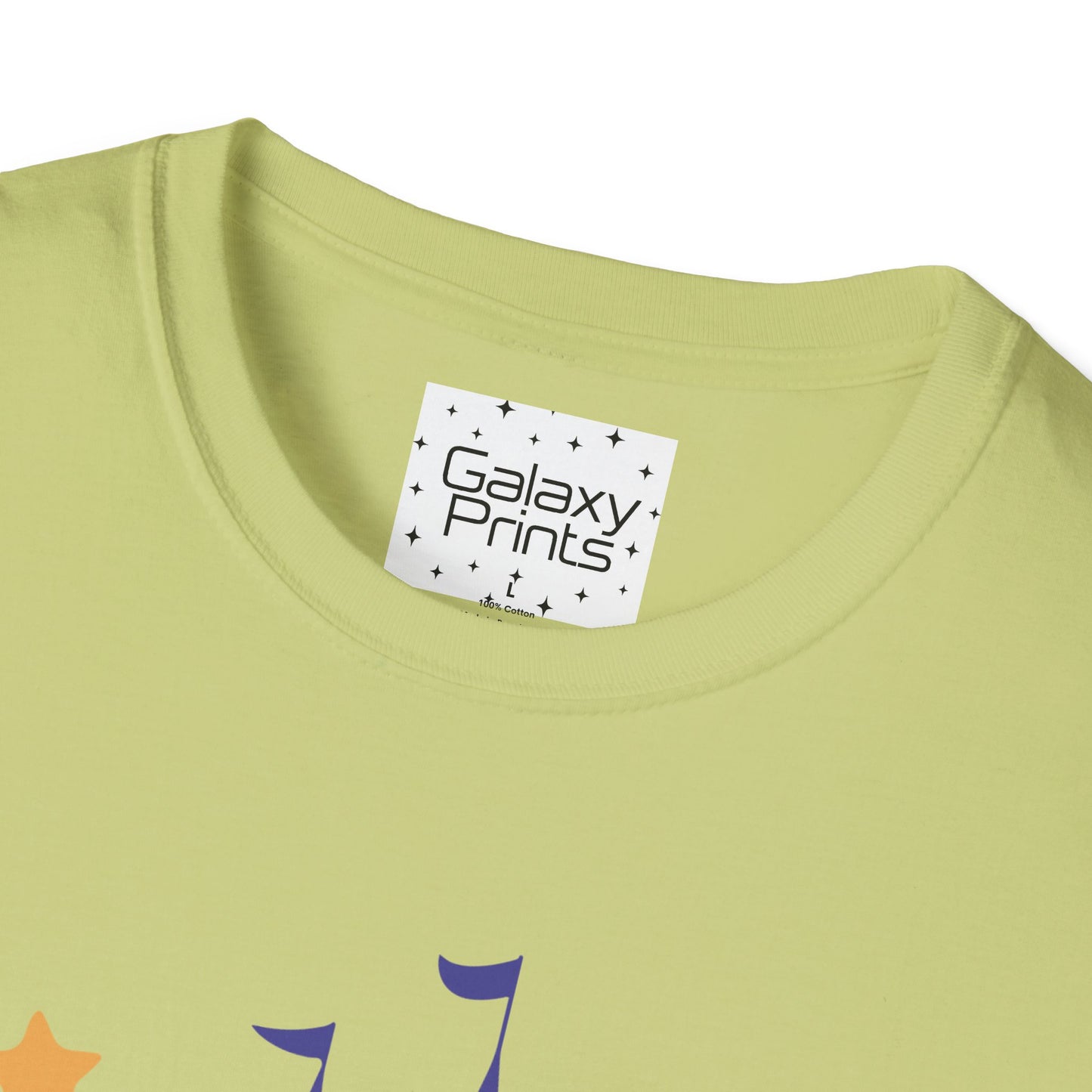 Unisex T-Shirt - DISNEY Inspired - 'Mickey gone trick or treating at the Castle in WDW'