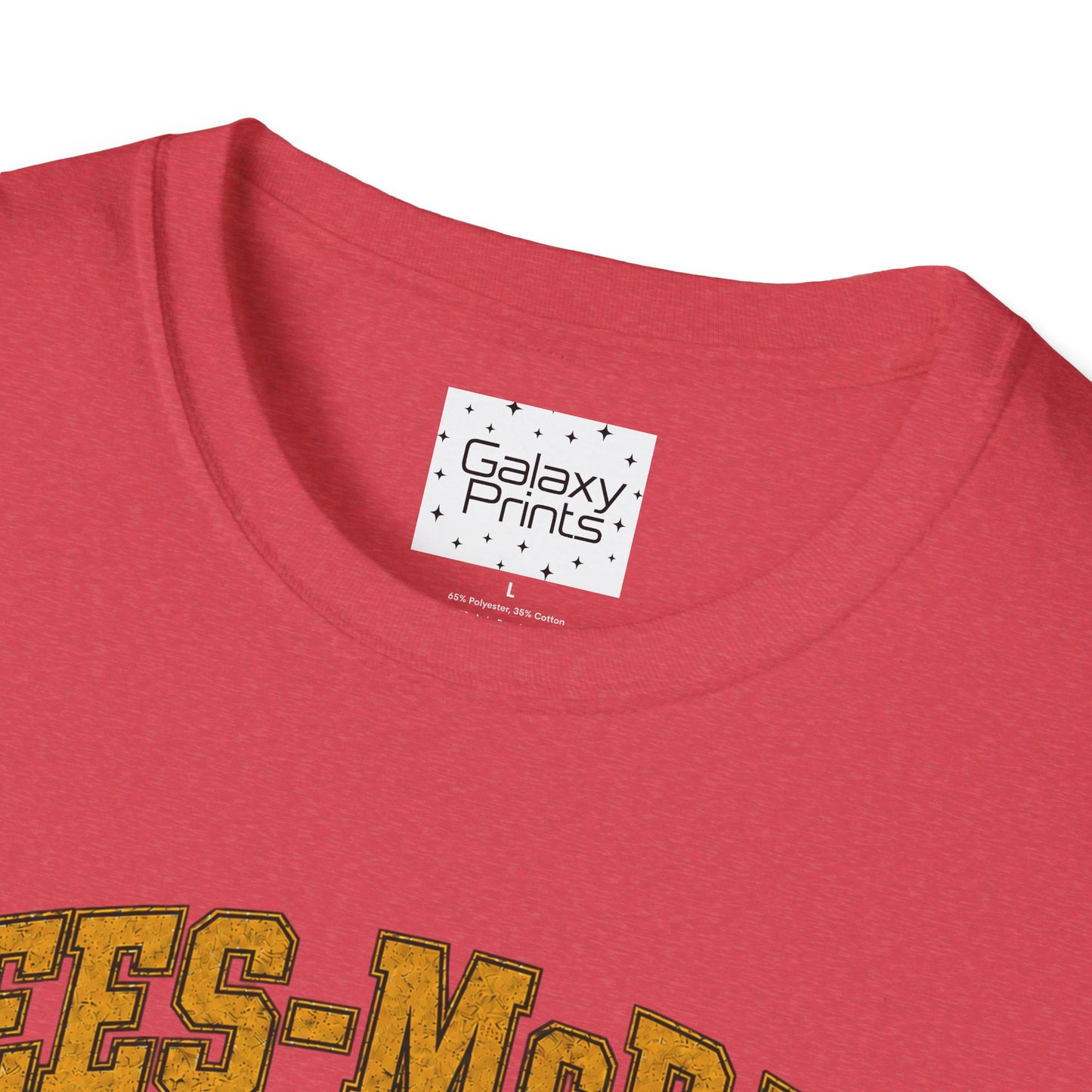 Lees-McRae College Bobcats Vintage Football T-Shirt — Got A Lot A More - The Black Hole