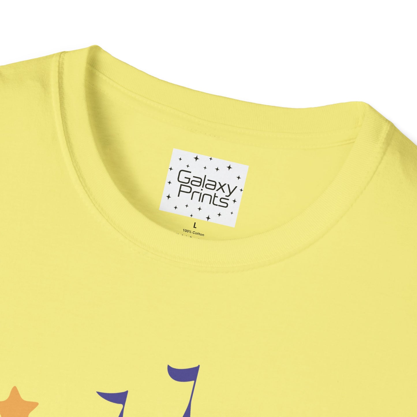 Unisex T-Shirt - DISNEY Inspired - 'Mickey gone trick or treating at the Castle in WDW'
