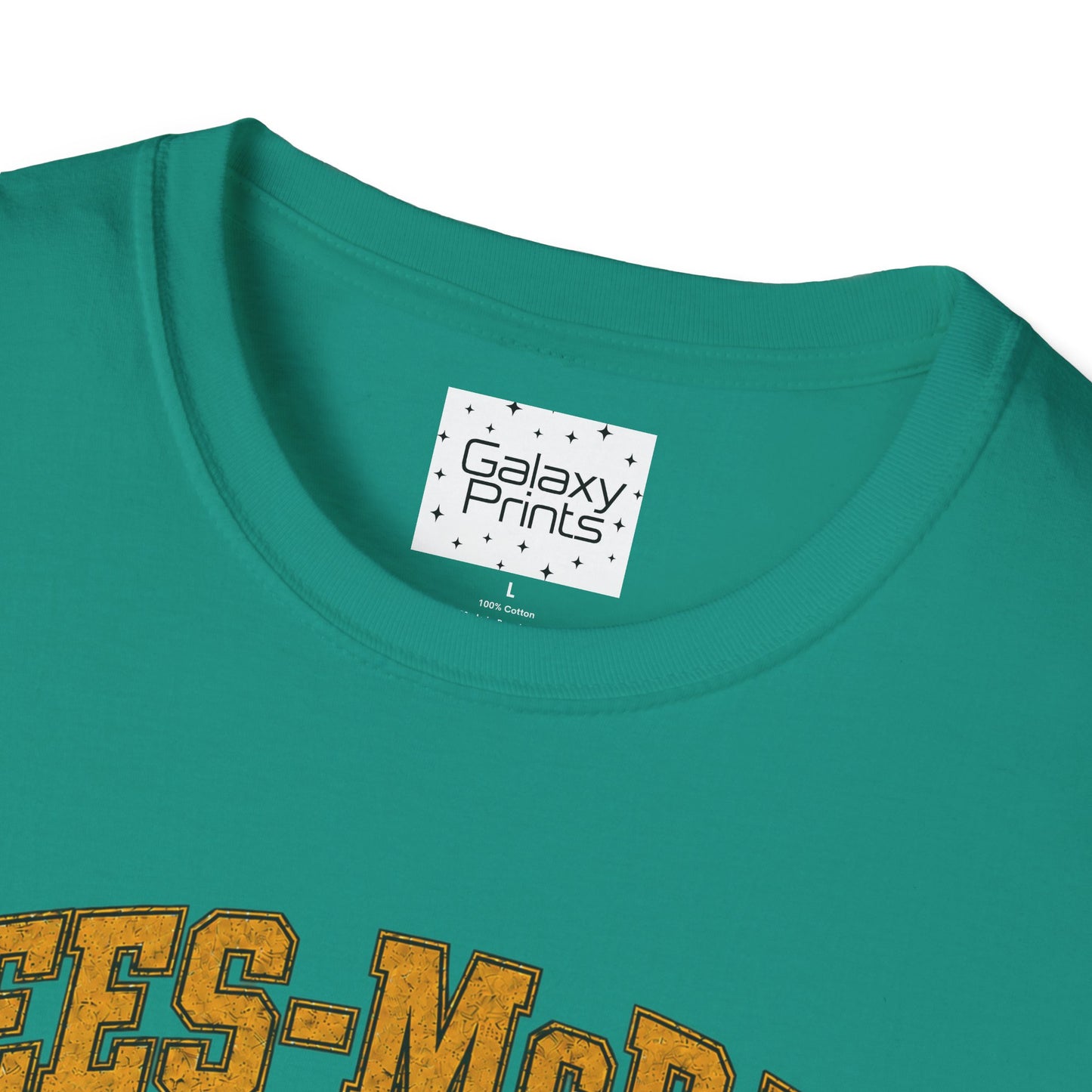 Lees-McRae College Bobcats Vintage Football T-Shirt — Got A Lot A More - The Black Hole