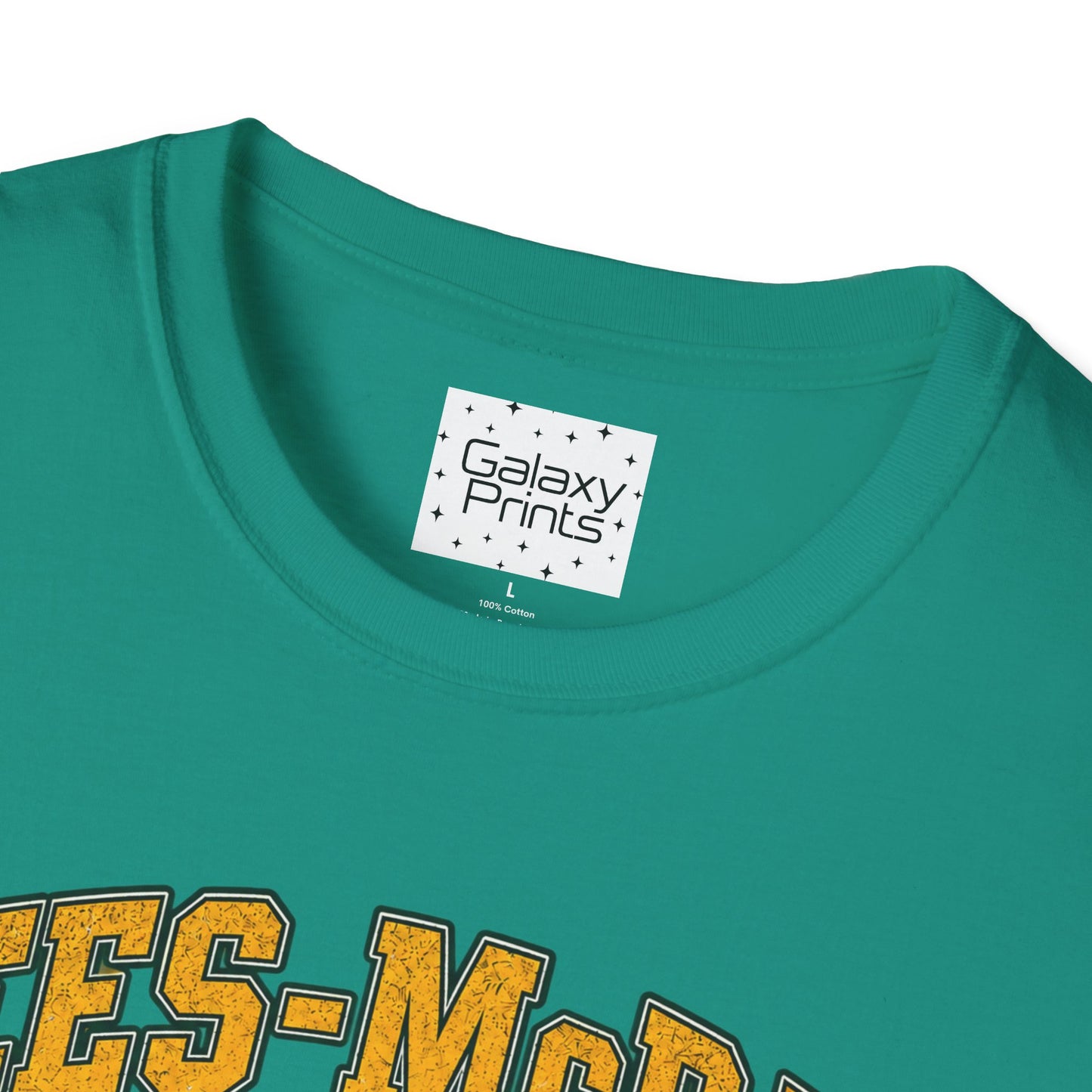 Lees-McRae College Bobcats Vintage Football T-Shirt — Retro 1903 Design