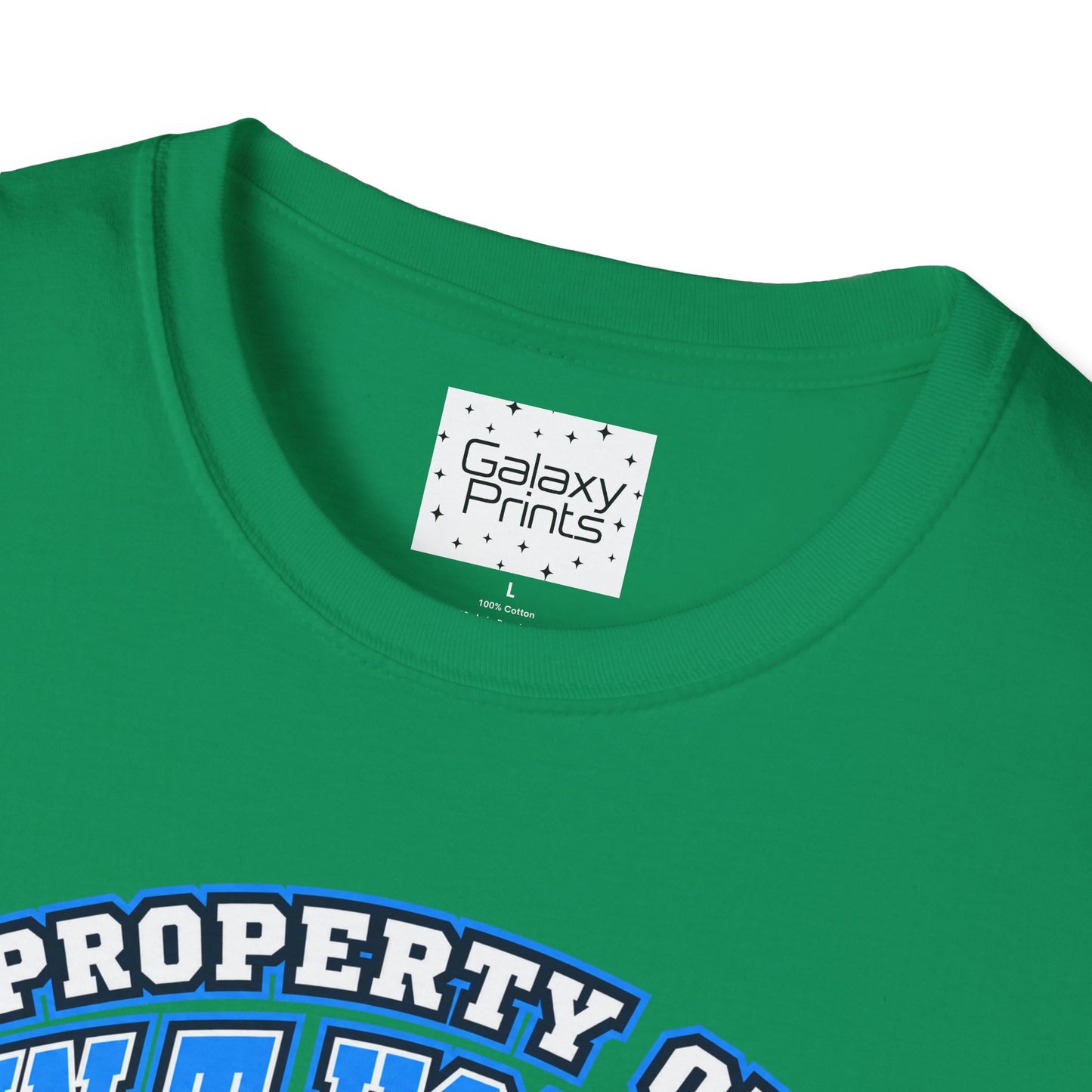 Property of JTH Vikings T‑Shirt  XXXL — Viking in Power Circle back - Hoggard School Spirit Tee