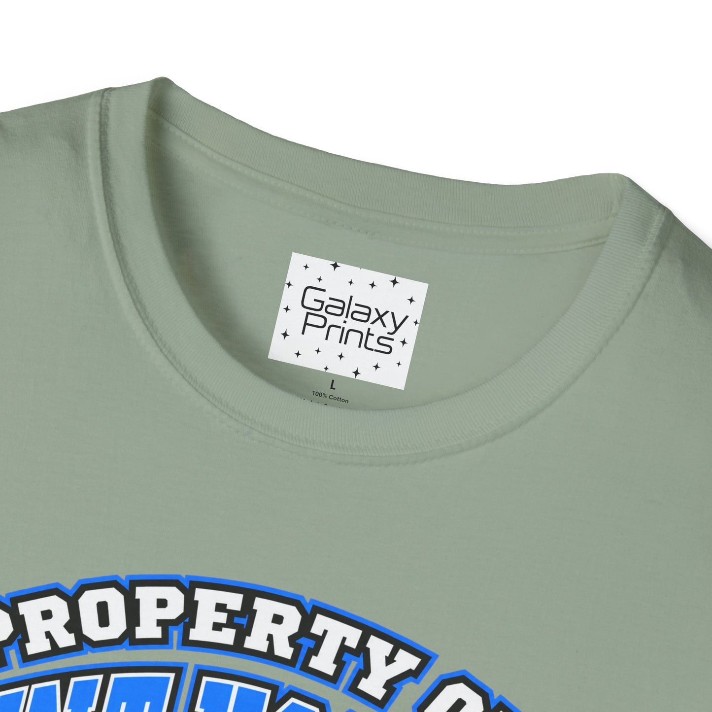 Property of JTH Vikings T‑Shirt 4XL — Viking in Power Circle back - Hoggard School Spirit Tee