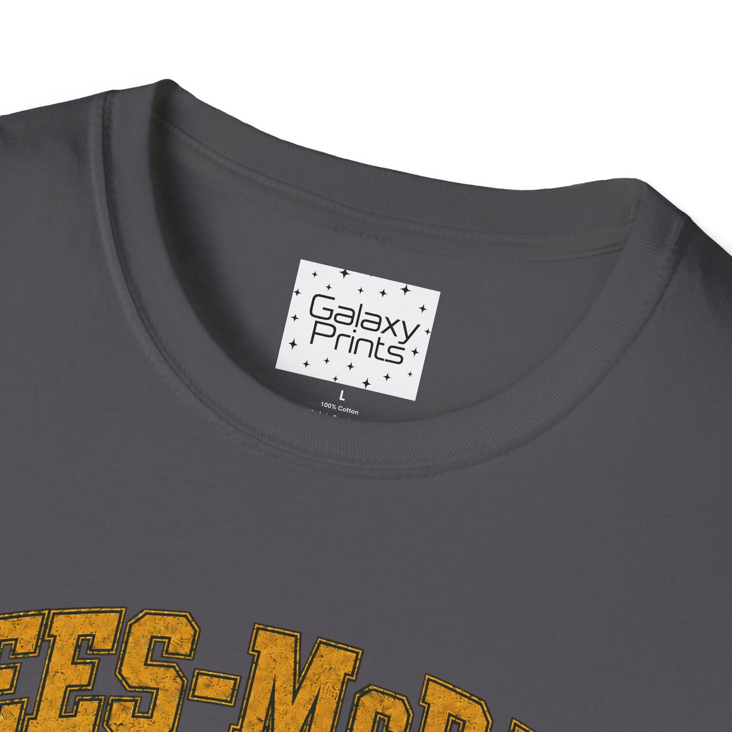 Lees-McRae College Bobcats Vintage Football T-Shirt — Got A Lot A More - The Black Hole