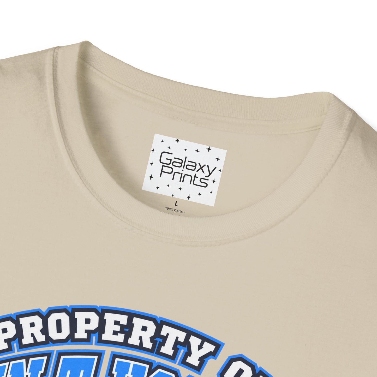 Property of JTH Vikings T‑Shirt  XXXL — Viking in Power Circle back - Hoggard School Spirit Tee