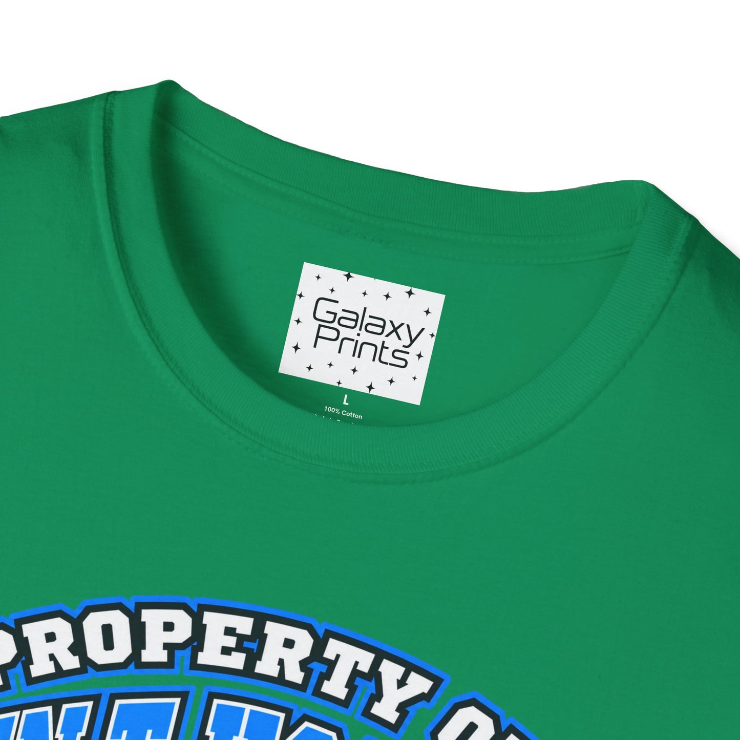 Property of JTH Vikings T‑Shirt 6XL — Viking in Power Circle back - Hoggard School Spirit Tee