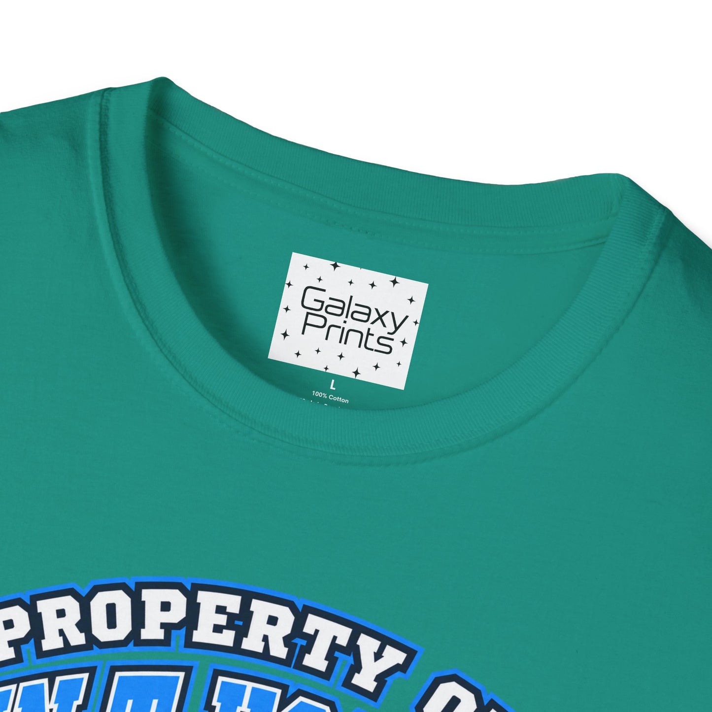 Property of JTH Vikings T‑Shirt  XXXL — Viking in Power Circle back - Hoggard School Spirit Tee