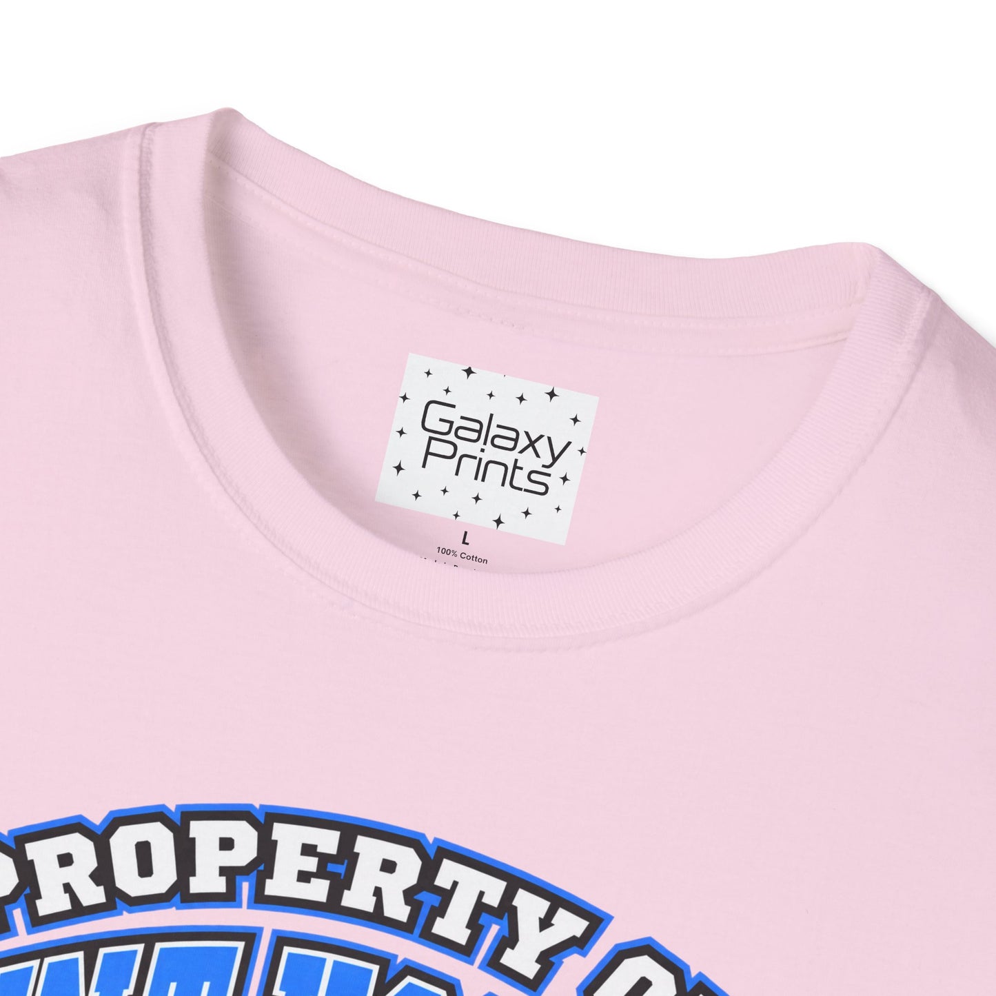 Property of JTH Vikings T‑Shirt 4XL — Viking in Power Circle back - Hoggard School Spirit Tee