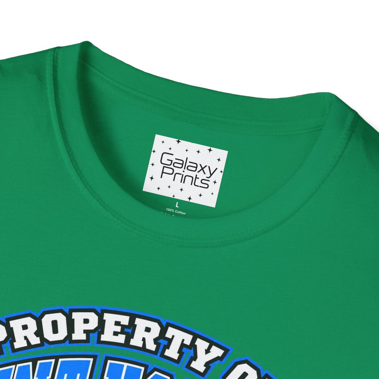 Property of JTH Vikings T‑Shirt 4XL — Viking in Power Circle back - Hoggard School Spirit Tee