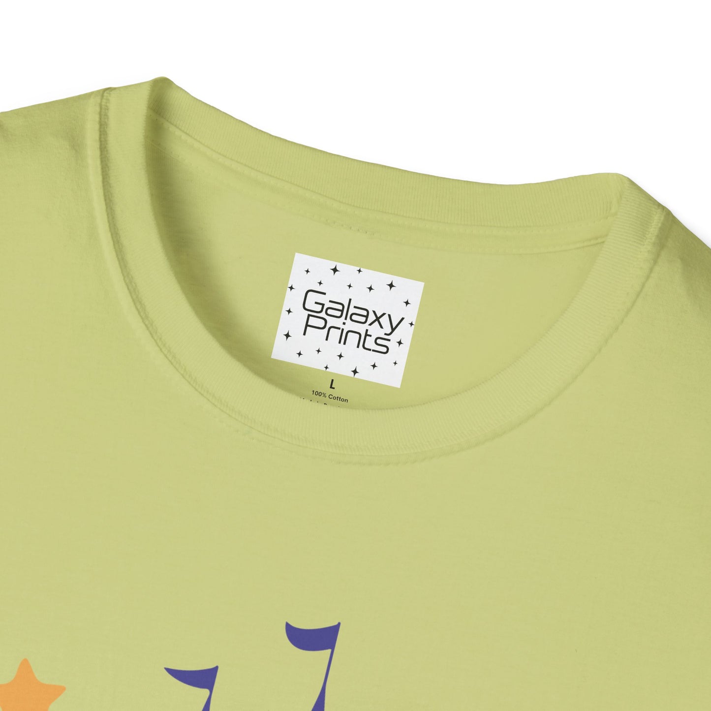 Unisex T-Shirt - DISNEY Inspired - 'Mickey gone trick or treating at the Castle in WDW'