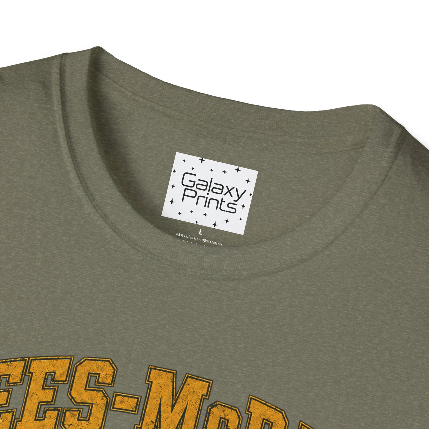 Lees-McRae College Bobcats Vintage Football T-Shirt — Got A Lot A More - The Black Hole