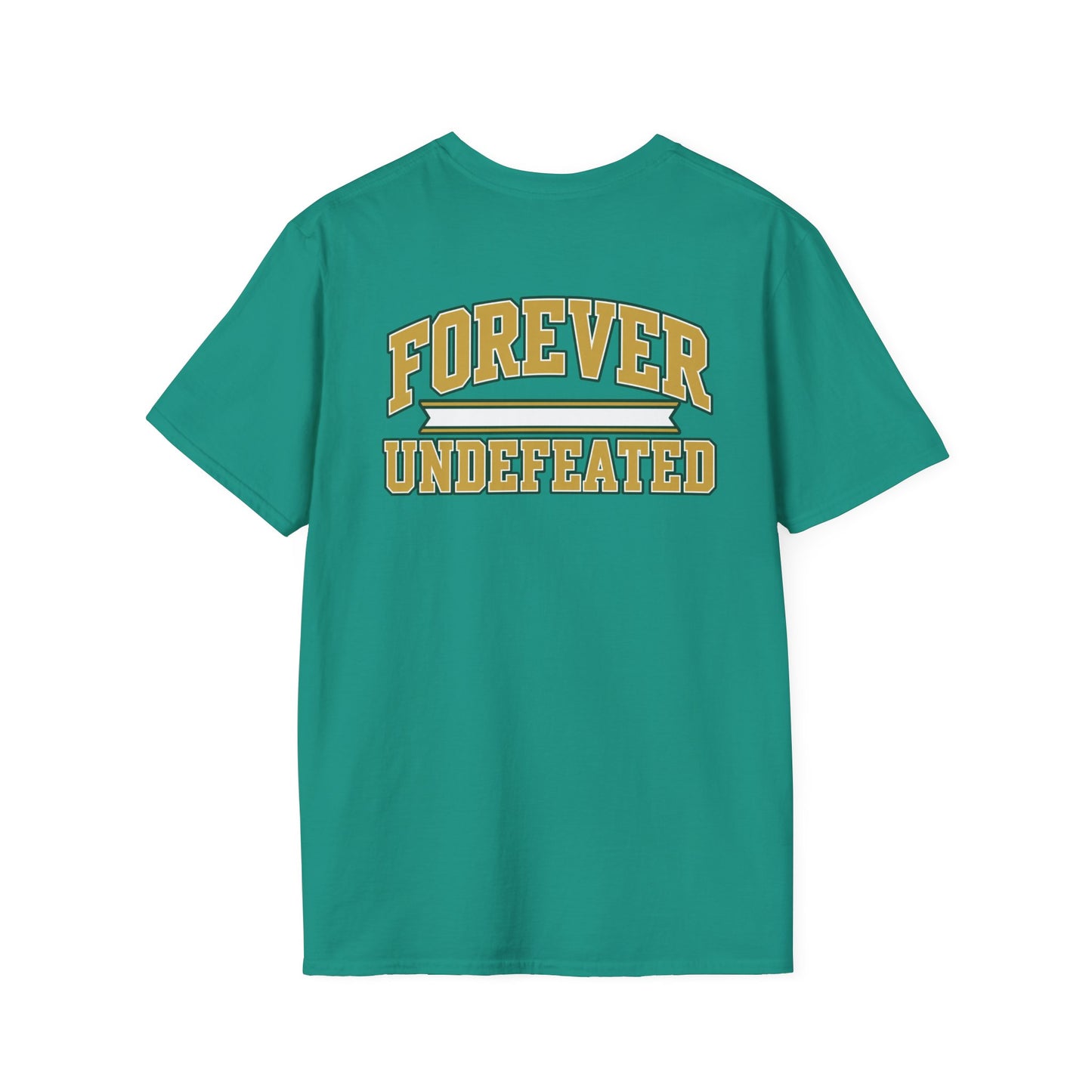 Lees-McRae College Bobcats Vintage Football T-Shirt — Coach Johnson #2  "You Get To The Darm Football" - Forever Undefeated