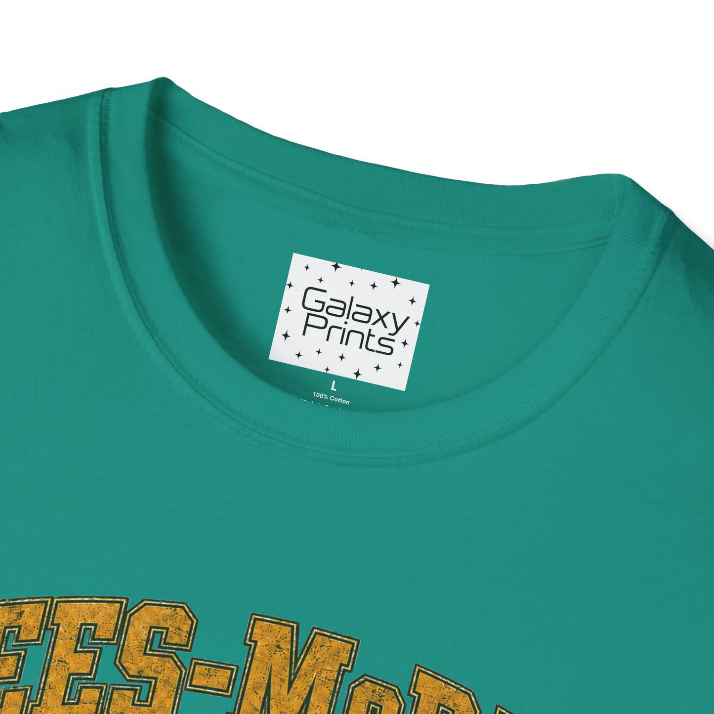 Lees-McRae College Bobcats Vintage Football T-Shirt — Forever Undefeated - The Black Hole