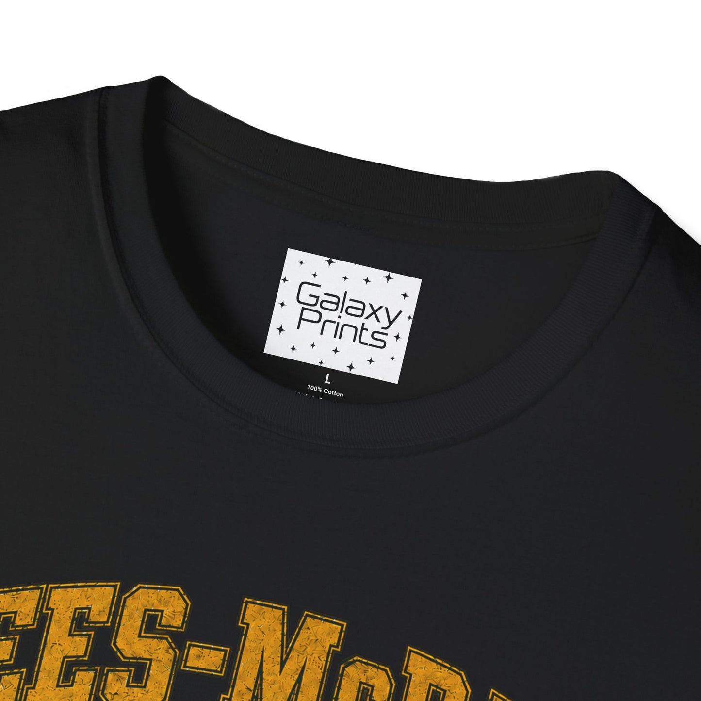 Lees-McRae College Bobcats Vintage Football T-Shirt — Got A Lot A More - The Black Hole