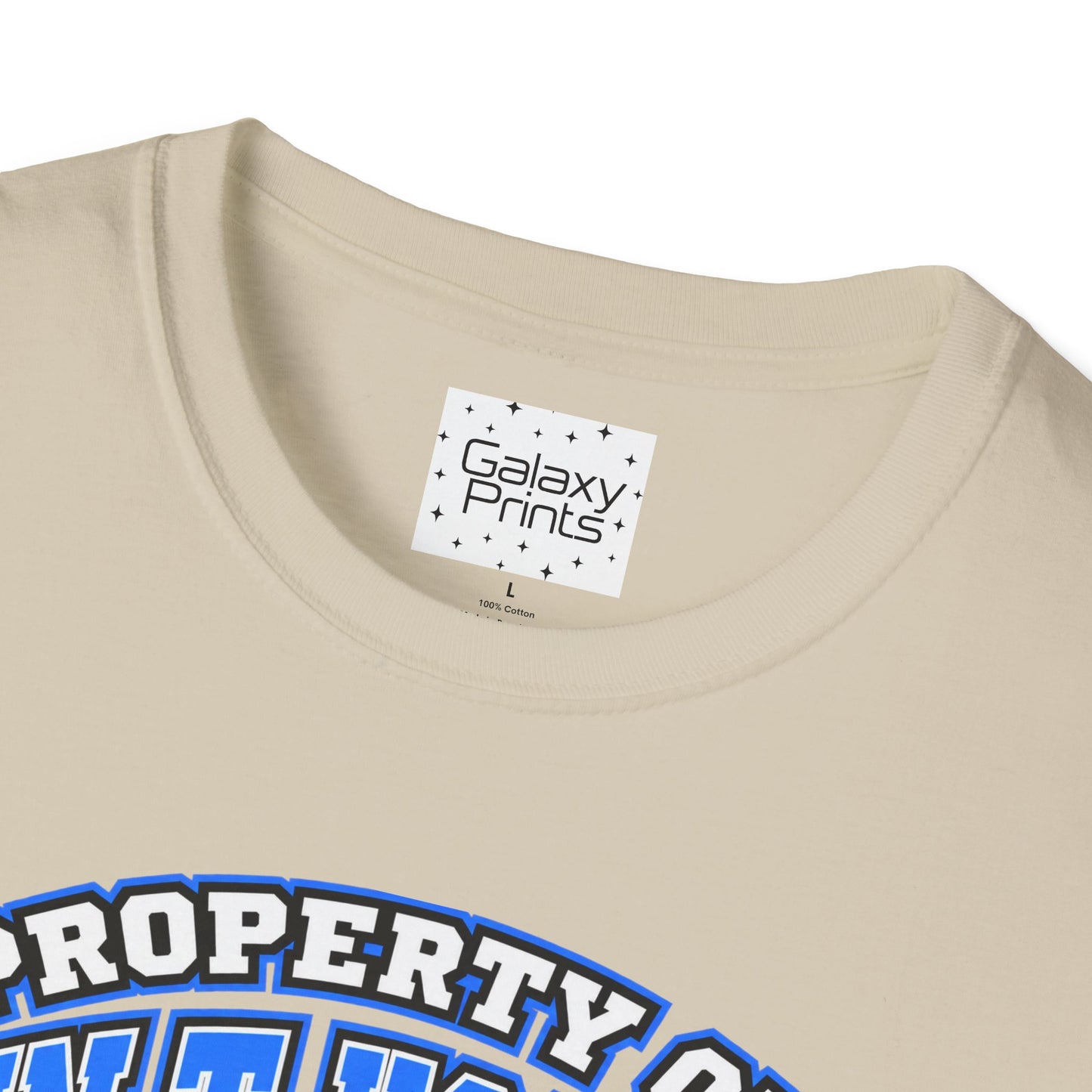 Property of JTH Vikings T‑Shirt 5XL — Viking in Power Circle back - Hoggard School Spirit Tee