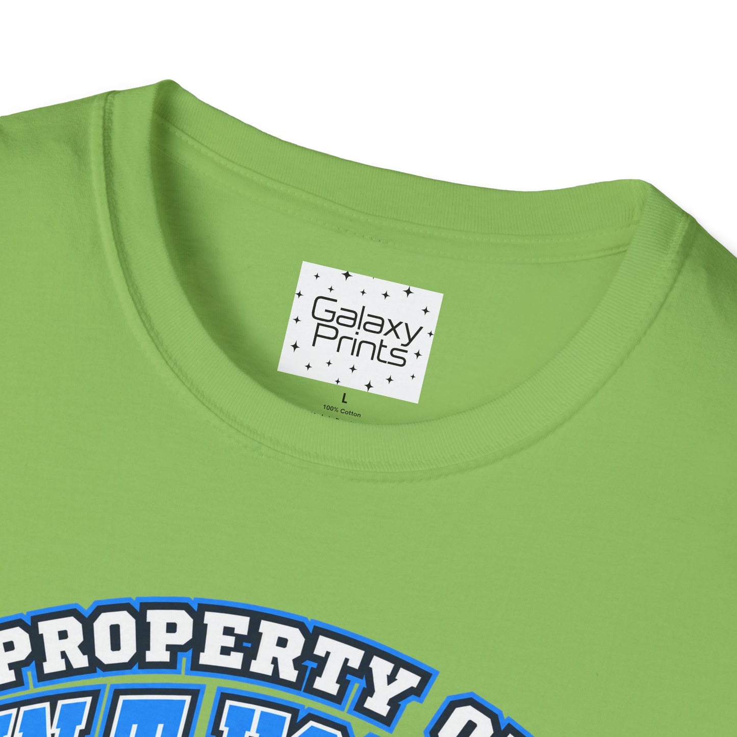 Property of JTH Vikings T‑Shirt  XXXL — Viking in Power Circle back - Hoggard School Spirit Tee