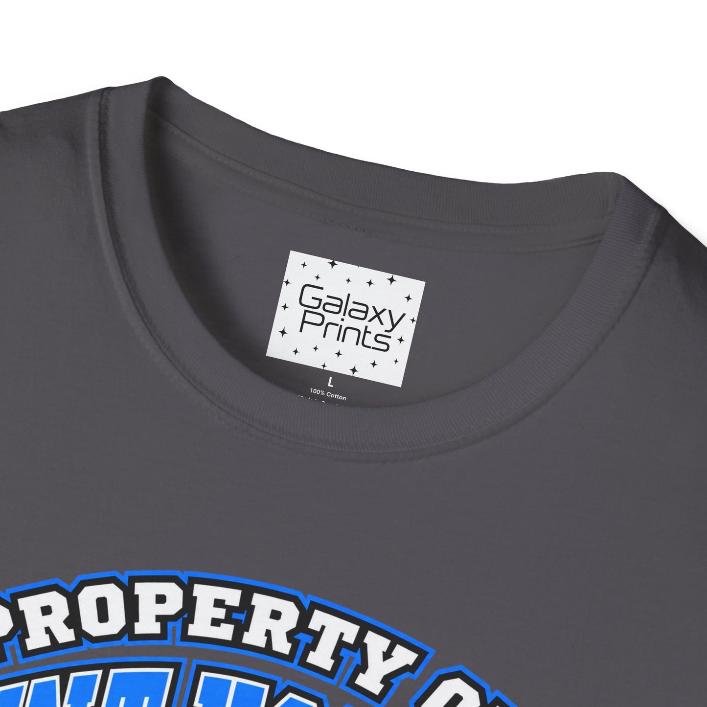 Property of JTH Vikings T‑Shirt 4XL — Viking in Power Circle back - Hoggard School Spirit Tee