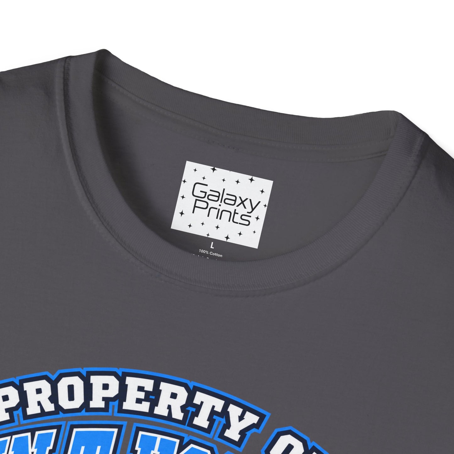 Property of JTH Vikings T‑Shirt  XXXL — Viking in Power Circle back - Hoggard School Spirit Tee