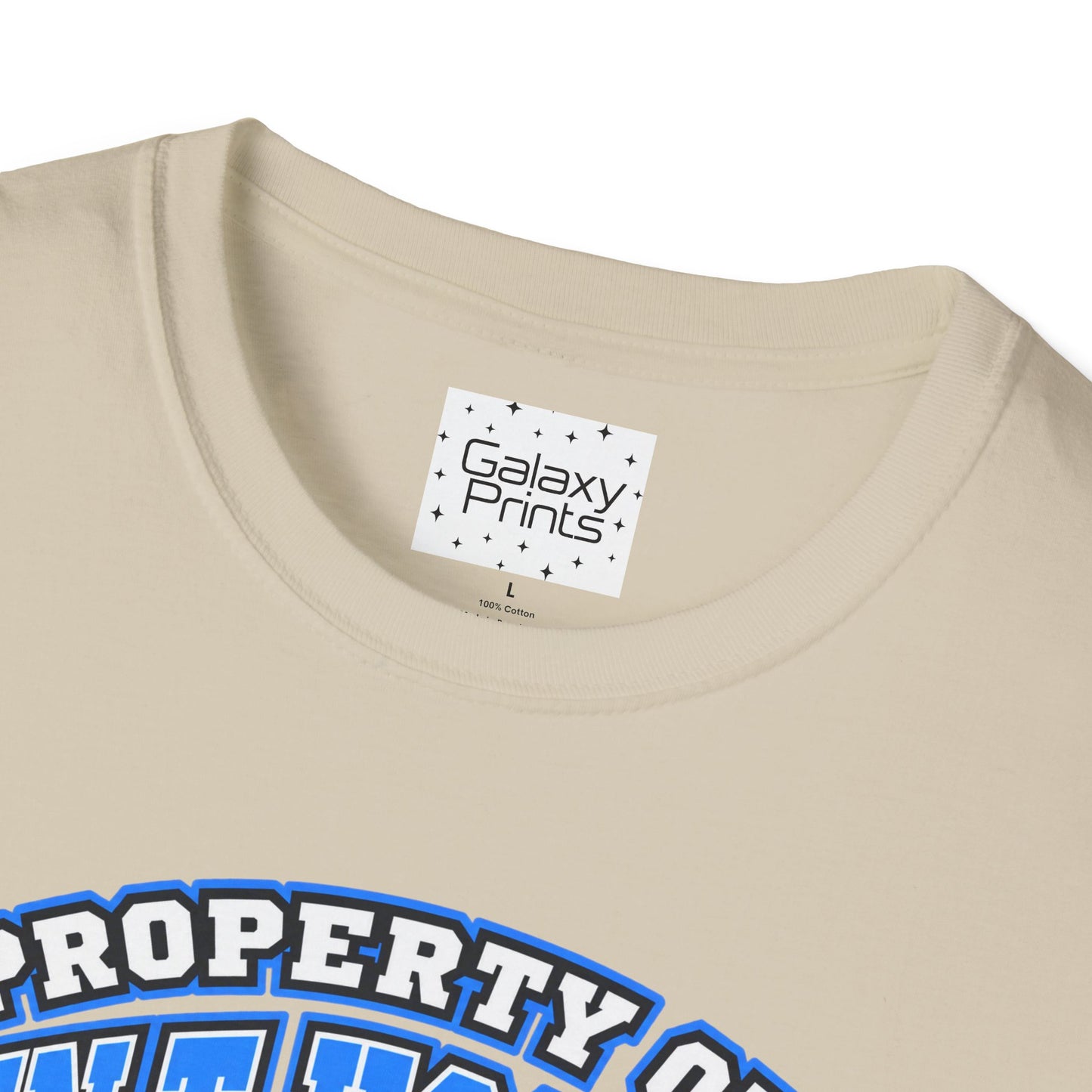 Property of JTH Vikings T‑Shirt 6XL — Viking in Power Circle back - Hoggard School Spirit Tee